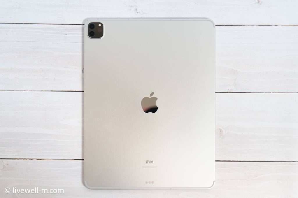 iPad Pro 12.9インチ セルラーモデルのアンテナライン（背面）