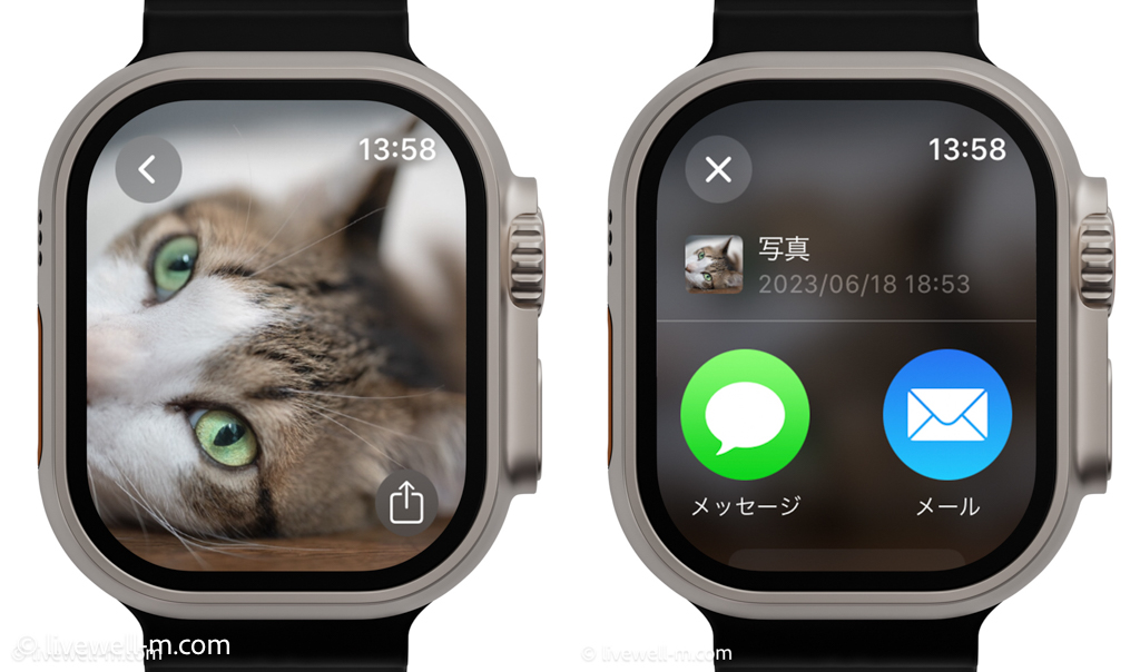 Apple Watch写真アプリで共有